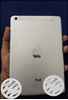 Ipad mini cellular + WiFi (16GB) No single