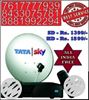 Tata SKY HD BOX - One month Free Dhamaka pack 238 Channels COD