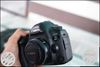 10month old 5d mark4 in perfect condition, with