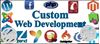 Top Rated Web Designing Services starts from 5000 INR