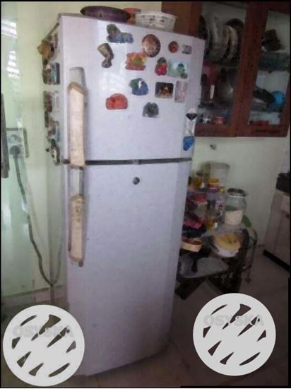 300 Litre Refrigerator