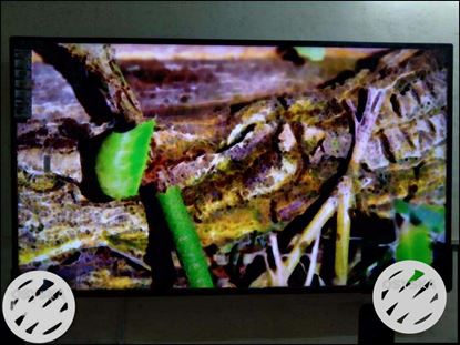 New Ultra High Definition Panel 65" 4K Android Smart Led Tv