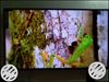 New Ultra High Definition Panel 65" 4K Android Smart Led Tv