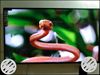 New Ultra High Definition Panel 65" 4K Android Smart Led Tv