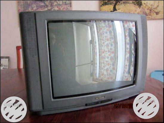 Phillips 21" TV