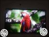 LED TV 50 inches 4k Smart Android Imported Samsung Panel warranty