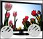 Diwali offer free gift worth Rs 4499 new 24" led TV with 2 yr warranty