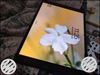 Apple ipad 10.5 wifi+cellular 256gb