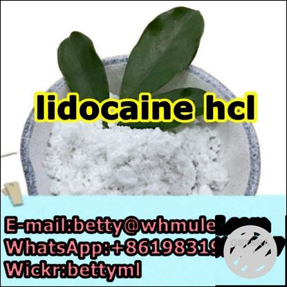 Picture of Lidocaine hcl powder,lidocaine hydrochloride,73-78-9,lidocaine hcl supplier