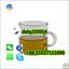Picture of PMK Ethyl Glycidate Oil 99% Liquid CAS 28578-16-7 KAIRUNTE